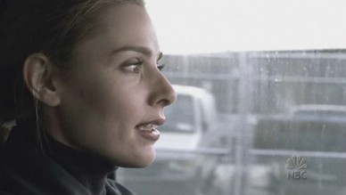 6120353.jpg